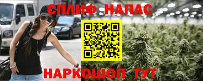 бошки Шебекино
