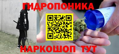 СК Шахты