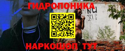 прущие грибы Шелехов