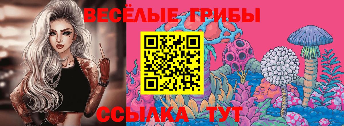 Галлюциногенные грибы мицелий  Вход с VPN  Михайловка 